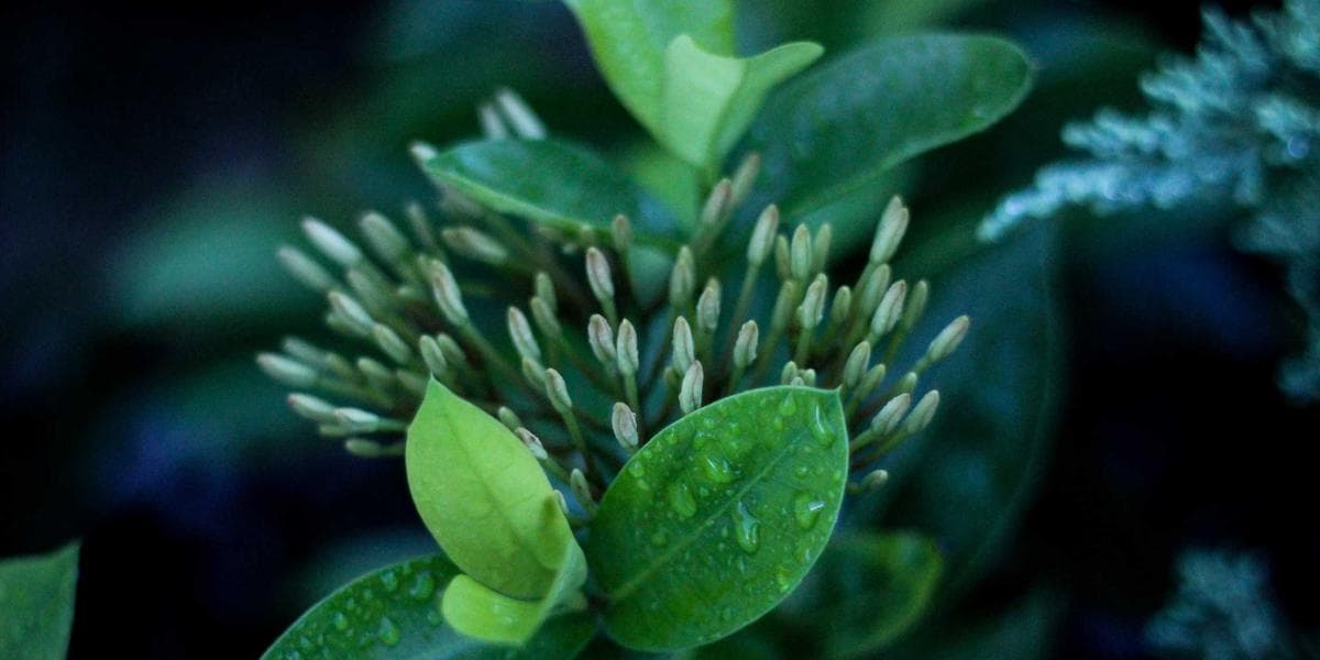 Mindfulness Daily Life